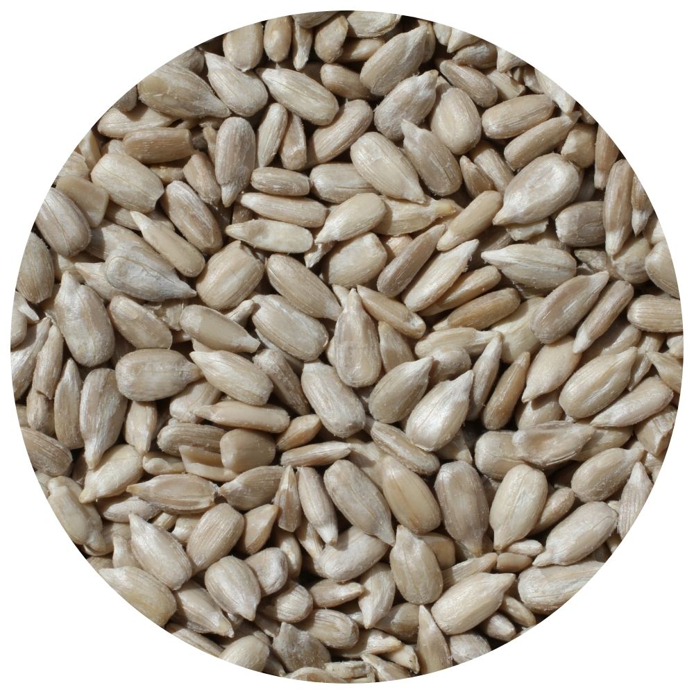 Raw Sunflower Seed Kernel | Premium Sunflower Seeds | Healthy Snack & Baking Ingredient