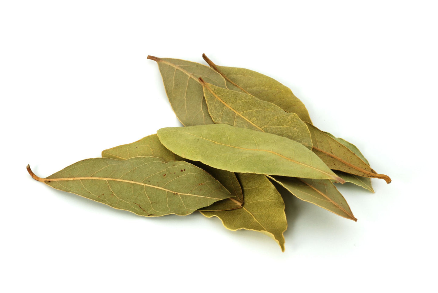 Bay Leaves, 25g to 100g