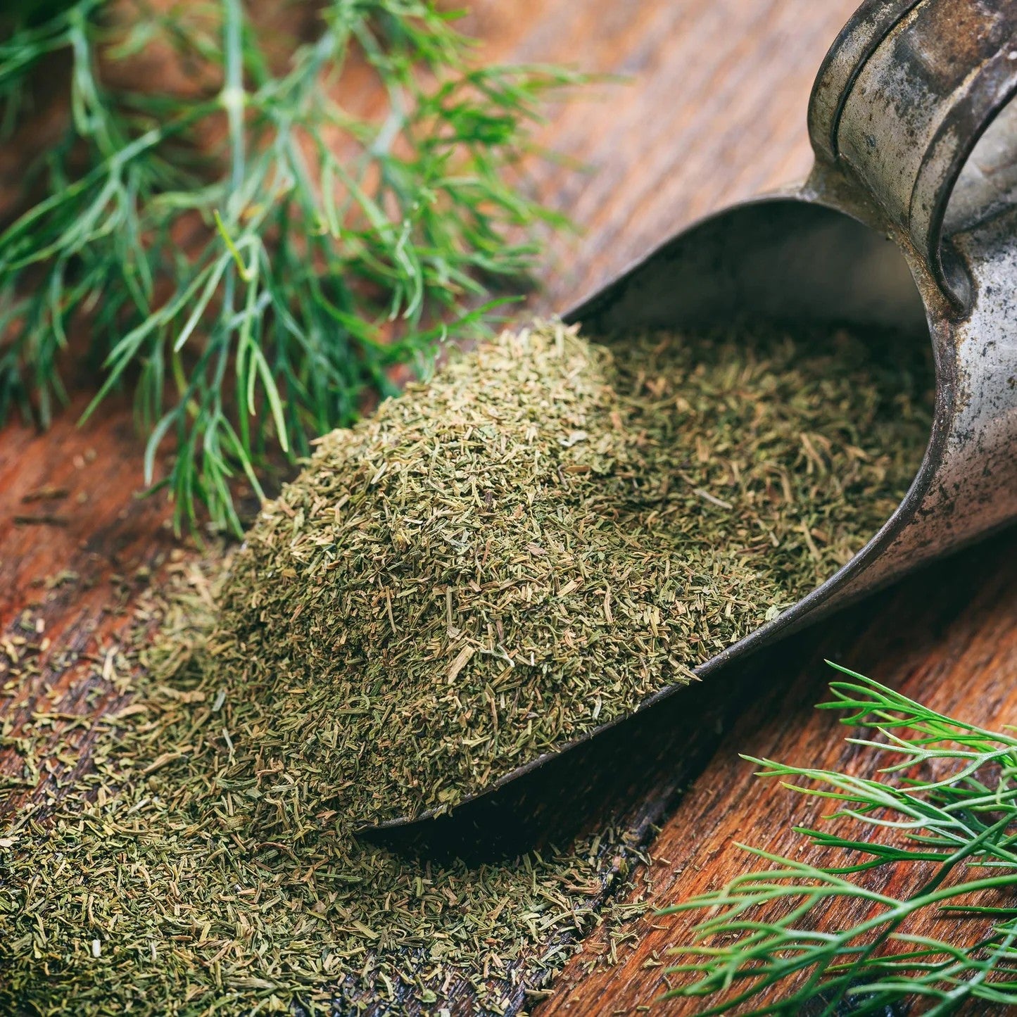 Dill Flakes 50g | Premium Aromatic Dill Herb | Perfect for Fish, Yogurt Sauces, Salads & Mediterranean Cooking