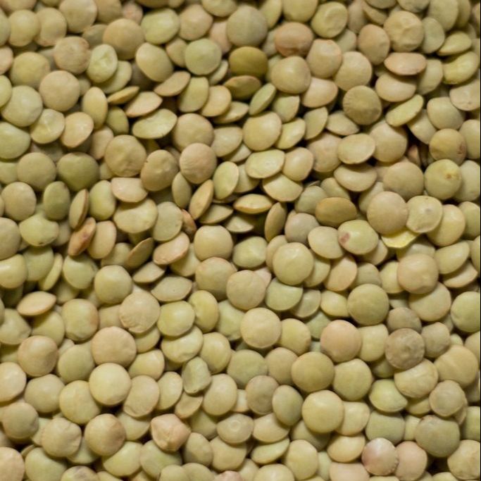 Green Lentils, 500g to 1kg — Premium Quality, Healthy Meals, Perfect for Soups, Salads