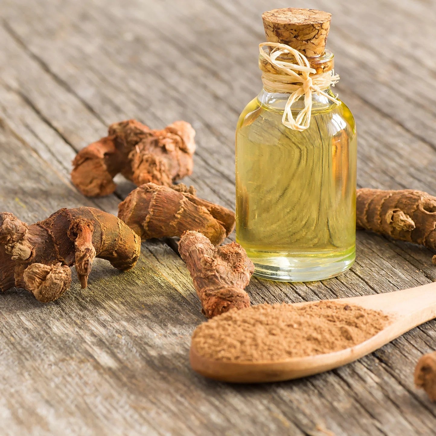 Dried Galangal Root | Premium Aromatic Galangal Root | Perfect for Thai, Asian Cooking & Herbal Tea