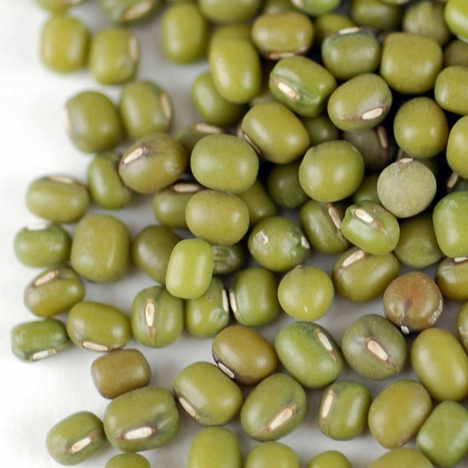 Mung Beans | Premium Quality, Perfect for Sprouting, Soups & Healthy Recipes 250g / 500g / 1kg