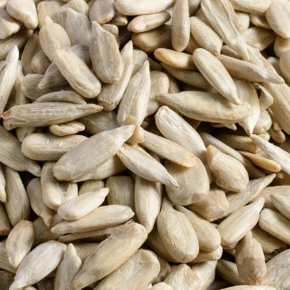 Raw Sunflower Seed Kernel | Premium Sunflower Seeds | Healthy Snack & Baking Ingredient