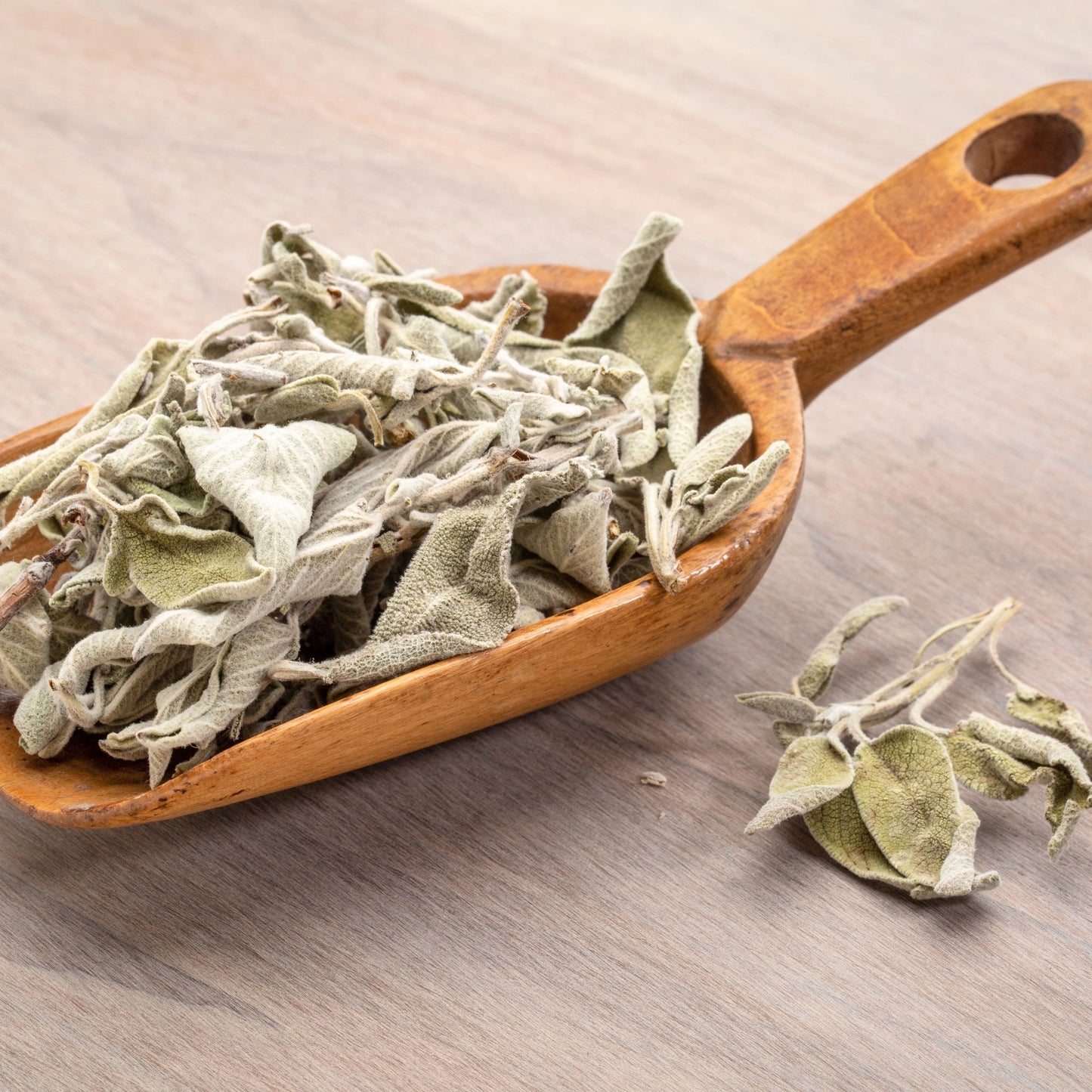 Pure Dried Sage Tea | 100% Natural Herbal Tea for Digestion, Detox & Stress Relief