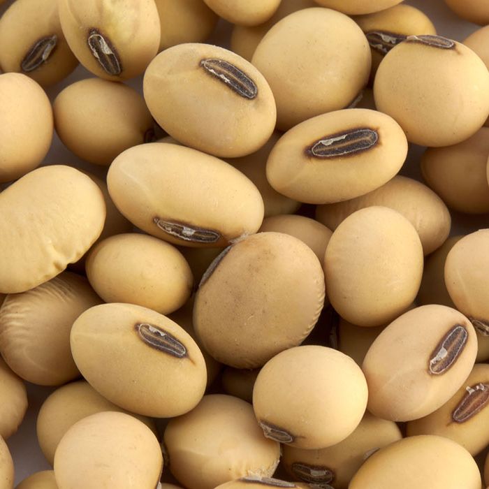 Yellow Soybeans, 1kg Perfect for Tofu, Soy Milk, and Plant-Based Recipes
