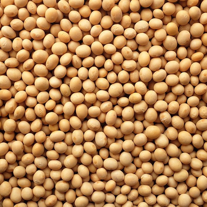 Yellow Soybeans, 1kg Perfect for Tofu, Soy Milk, and Plant-Based Recipes
