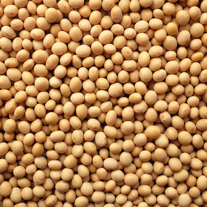 Yellow Soybeans, 1kg Perfect for Tofu, Soy Milk, and Plant-Based Recipes