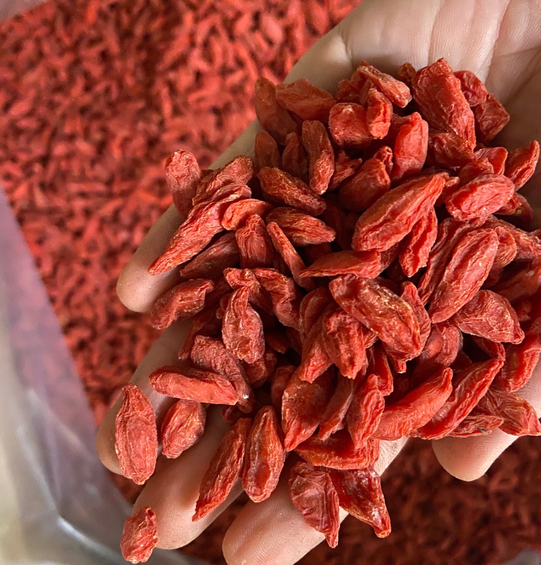 Dried Goji Berry | Premium Red Goji Berries | Superfood for Immunity & Energy 150g  / 200g / 500g