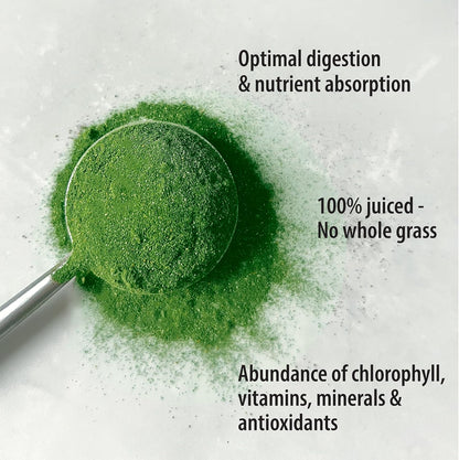 Barley Powder | Fine Ground | Mild Flavor | Perfect for Drinks & smoothies