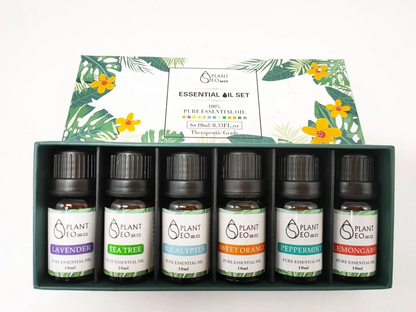 Essential Oil Set - 10ml x 6pcs