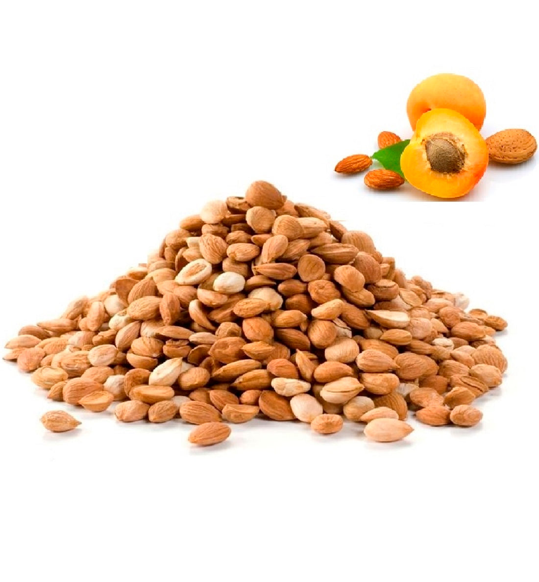 Apricot Kernels/Seeds from Turkey (Bitter)
