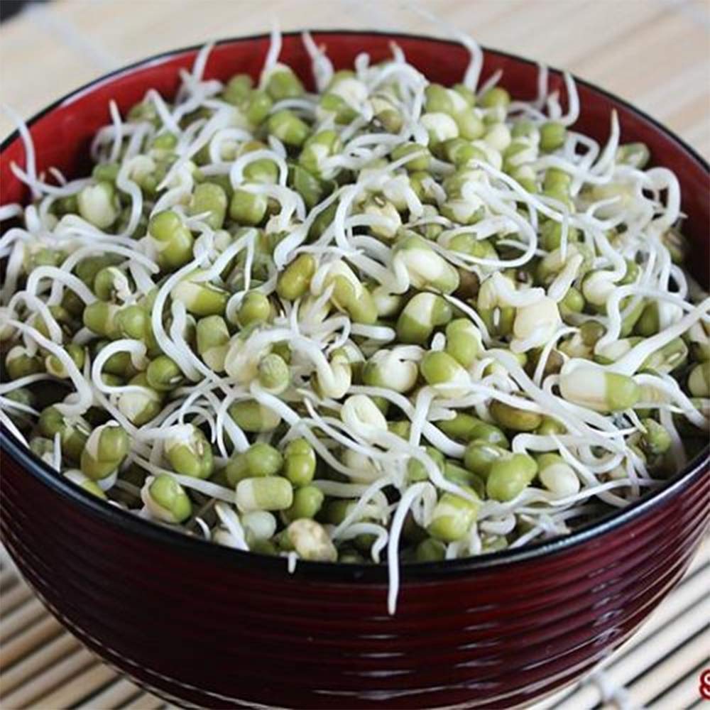 Mung Beans, 460g — Premium Quality, Perfect for Sprouting, Soups & Healthy Recipes