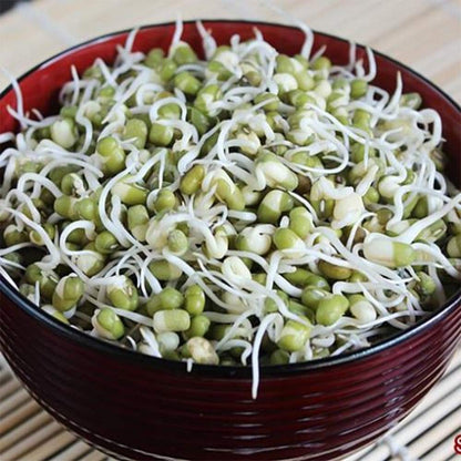 Mung Beans, 460g — Premium Quality, Perfect for Sprouting, Soups & Healthy Recipes