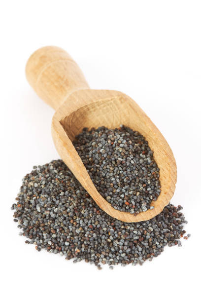 Blue Poppy Seeds