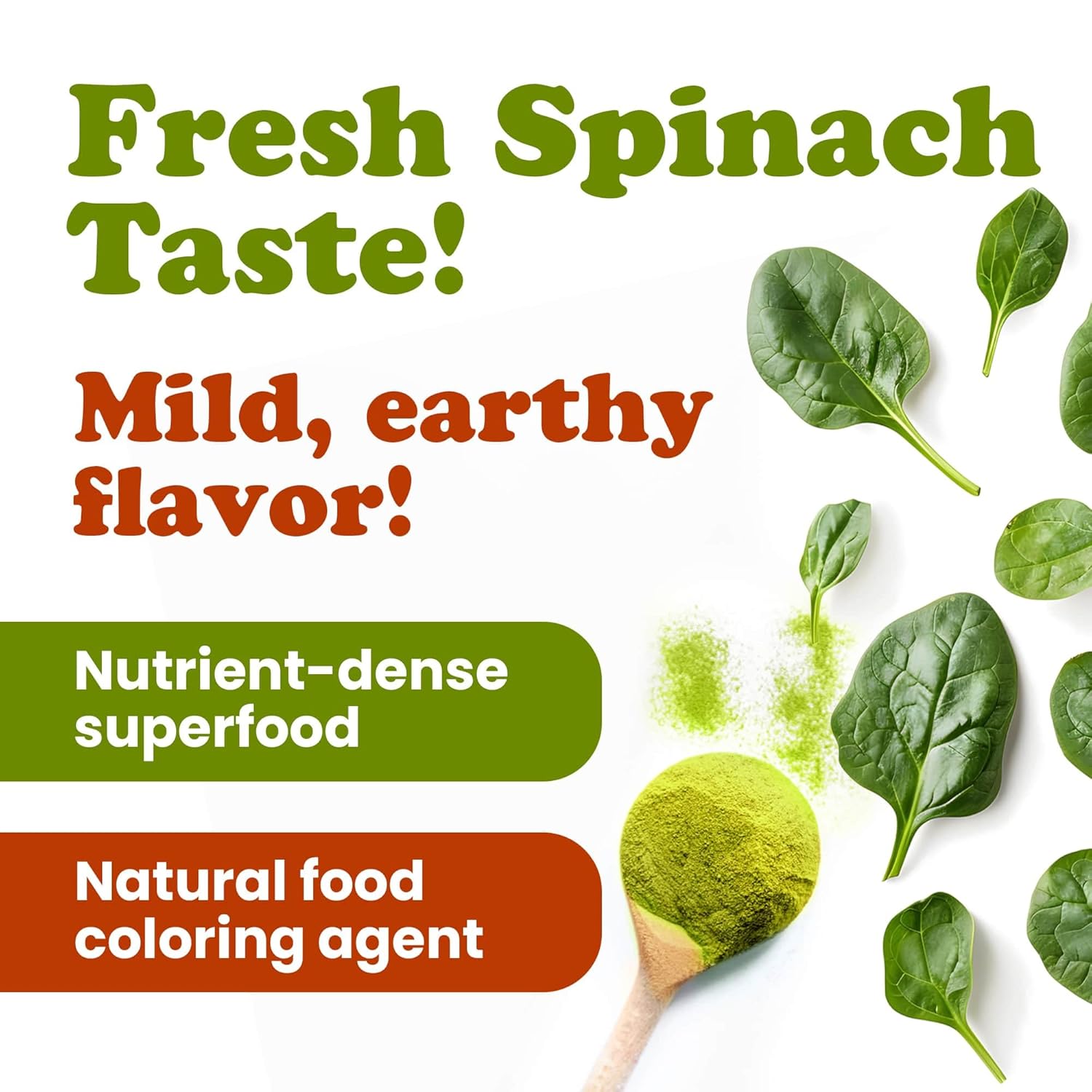 Spinach Powder | Natural Green Color | Fine Texture | Perfect for Drinks & Cooking