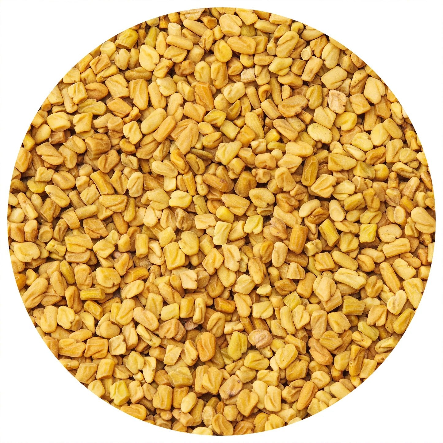 Fenugreek Seeds | Premium Whole Fenugreek (Methi) | Perfect for Curries, Pickling & Spice Blends