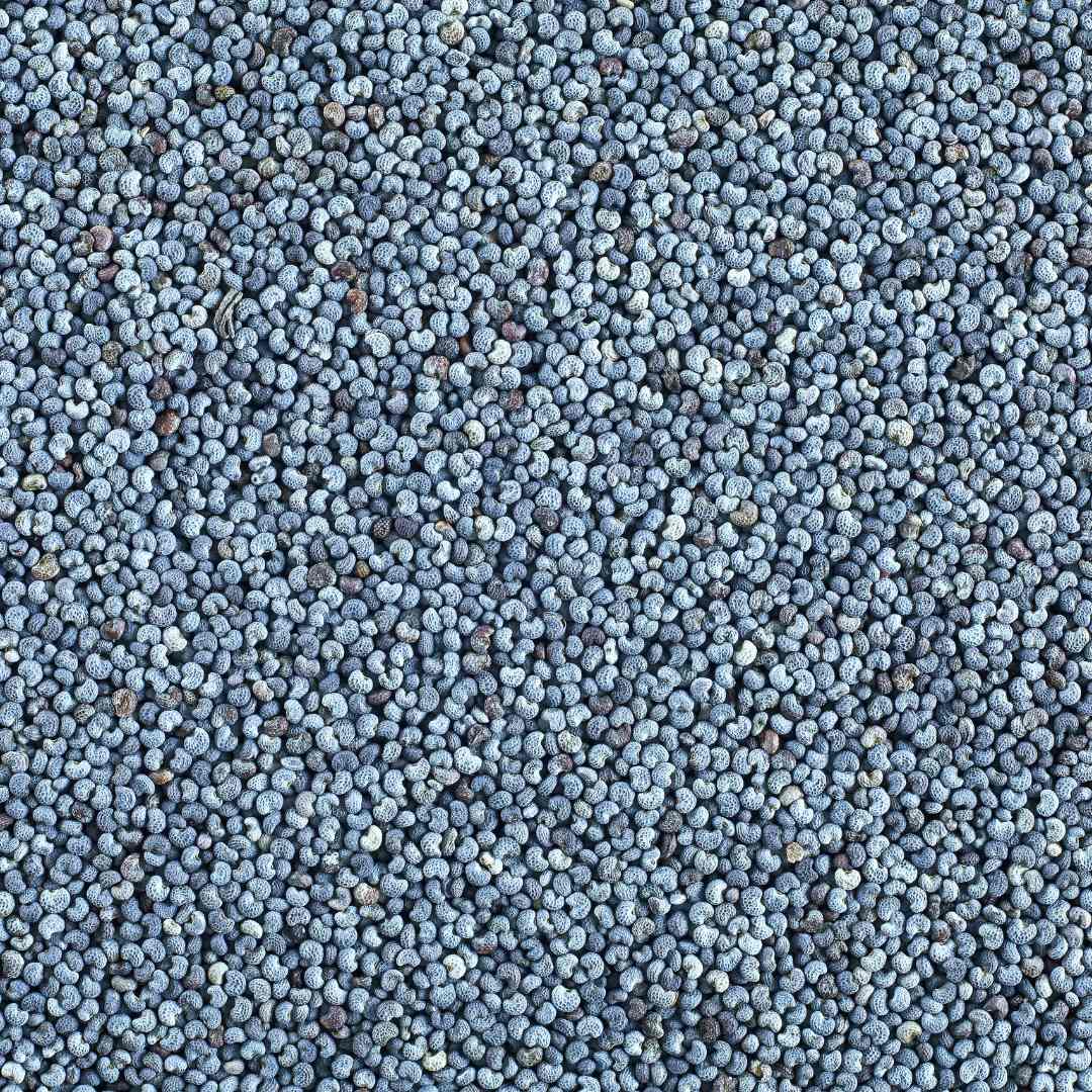 Blue Poppy Seeds 50g | Premium Whole Poppy Seeds | Nutty Aroma | Perfect for Baking, Bread, Pastries & Cooking
