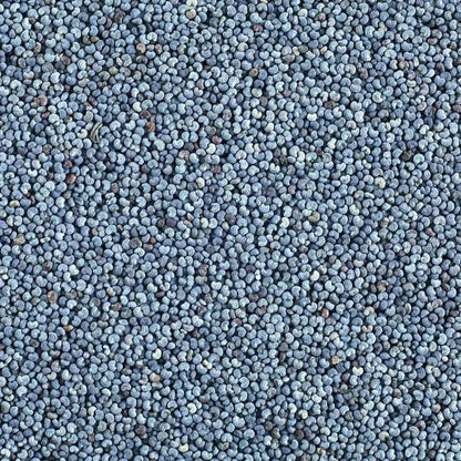 Blue Poppy Seeds 50g | Premium Whole Poppy Seeds | Nutty Aroma | Perfect for Baking, Bread, Pastries & Cooking