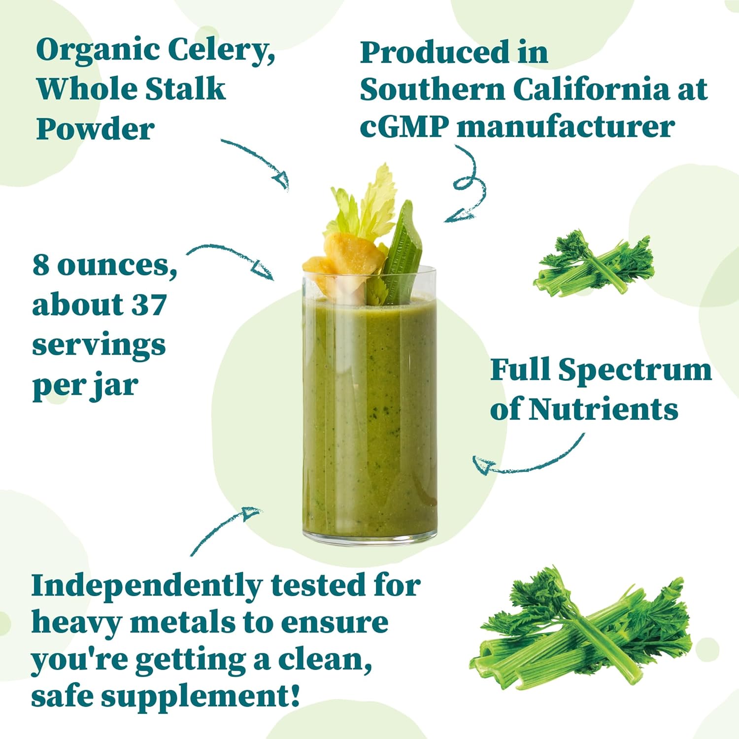 Celery Powder | Aromatic Flavor | Fine Ground | Perfect for Seasoning & Cooking