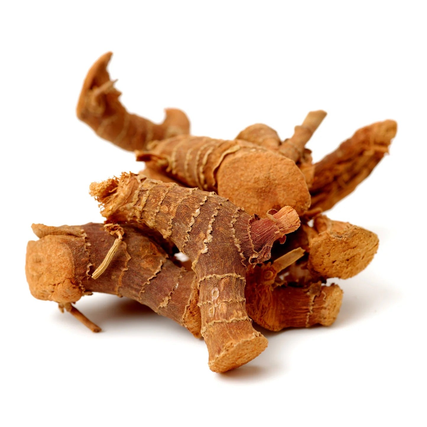 Dried Galangal Root | Premium Aromatic Galangal Root | Perfect for Thai, Asian Cooking & Herbal Tea