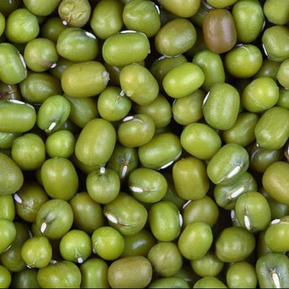 Mung Beans | Premium Quality, Perfect for Sprouting, Soups & Healthy Recipes 250g / 500g / 1kg