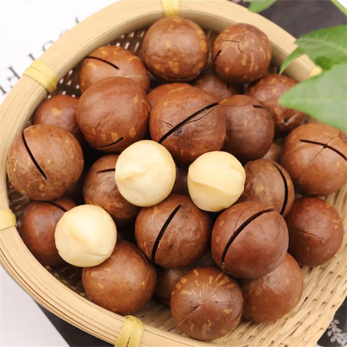 Roasted Macadamia Nuts with shell