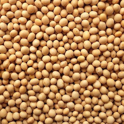 Yellow Soy Beans, 1kg Perfect for Tofu, Soy Milk, and Plant-Based Recipes