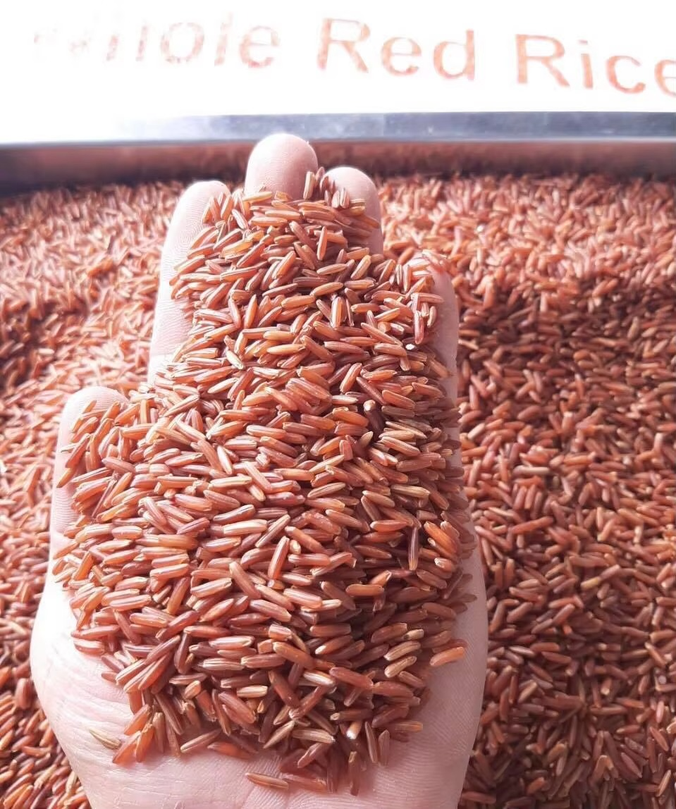 Premium Red Rice – Naturally Nutritious Whole Grain, Rich in Fiber & Antioxidants, 1kg Healthy Rice