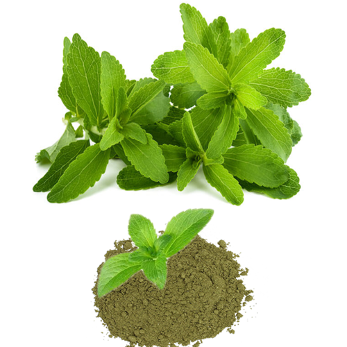 Pure Stevia Powder | Fine Powder | Ideal for Drinks & Recipes