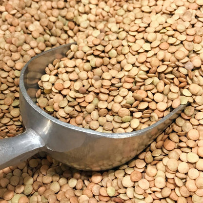 Green Lentils, 500g to 1kg — Premium Quality, Healthy Meals, Perfect for Soups, Salads