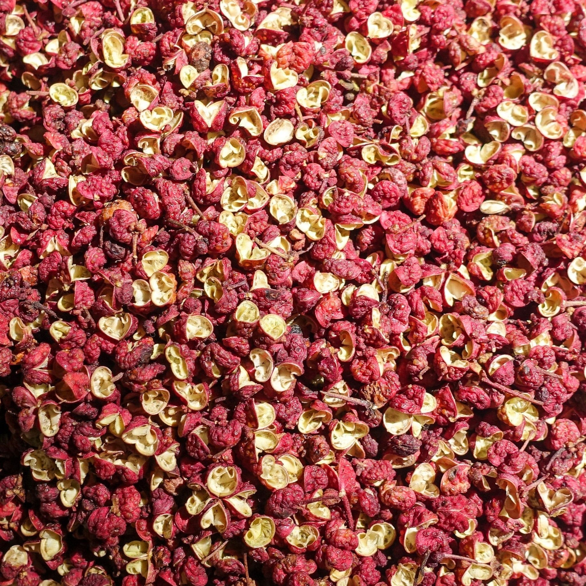 Sichuan Pepper | Premium Szechuan Peppercorns | Citrusy, Numbing & Aromatic | Perfect for Chinese & Asian Cooking