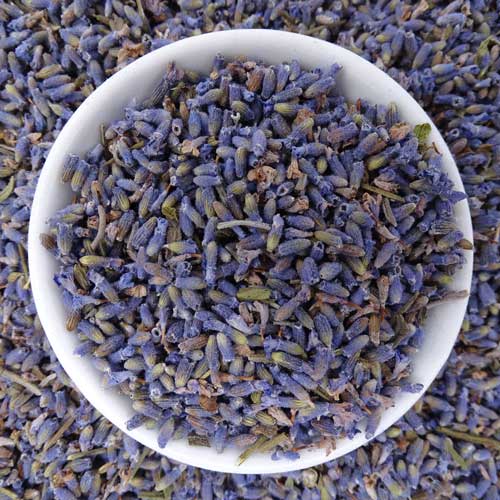 Lavender Tea — Premium Dried Lavender Flowers, Caffeine-Free Herbal Tea for Relaxation & Sleep