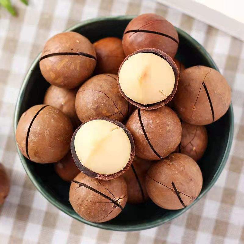 Roasted Macadamia Nuts with shell