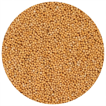 Yellow Mustard Seed 50g | Premium Whole Mustard Seeds | Mild, Tangy Flavor | Perfect for Pickling, Sauces & Seasoning