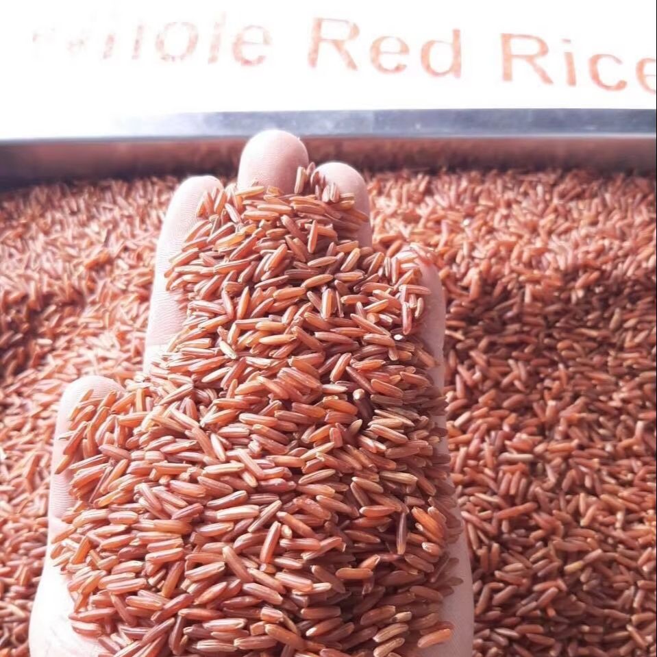 Premium Red Rice – Naturally Nutritious Whole Grain, Rich in Fiber & Antioxidants, 250g / 500g / 1kg Healthy Rice