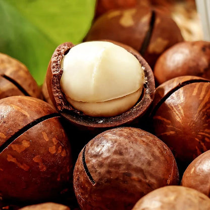 Roasted Macadamia Nuts with shell