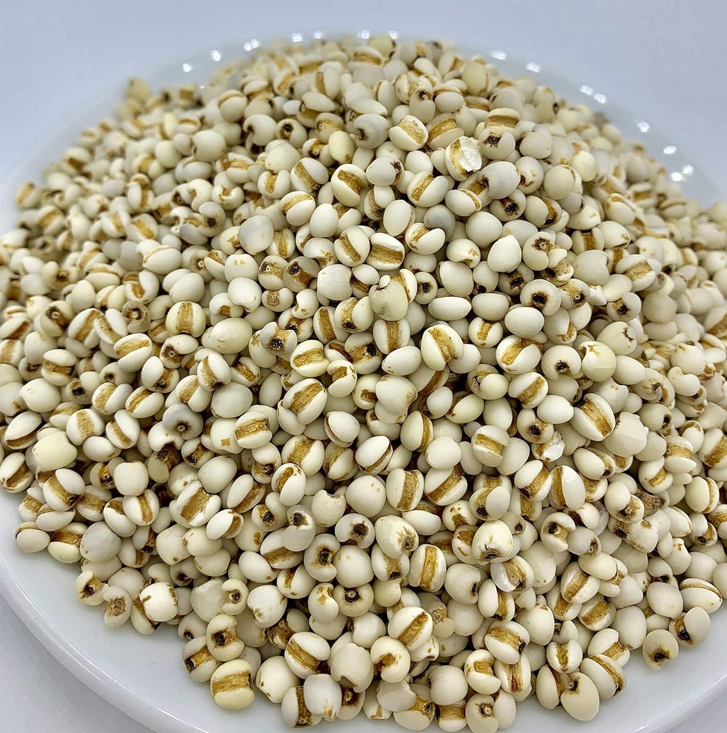 Pure Adlay (Adlai) Rice | High-Fiber, Low-Glycemic Grain for Healthy Meals | Great Substitute 250g / 500g / 1kg