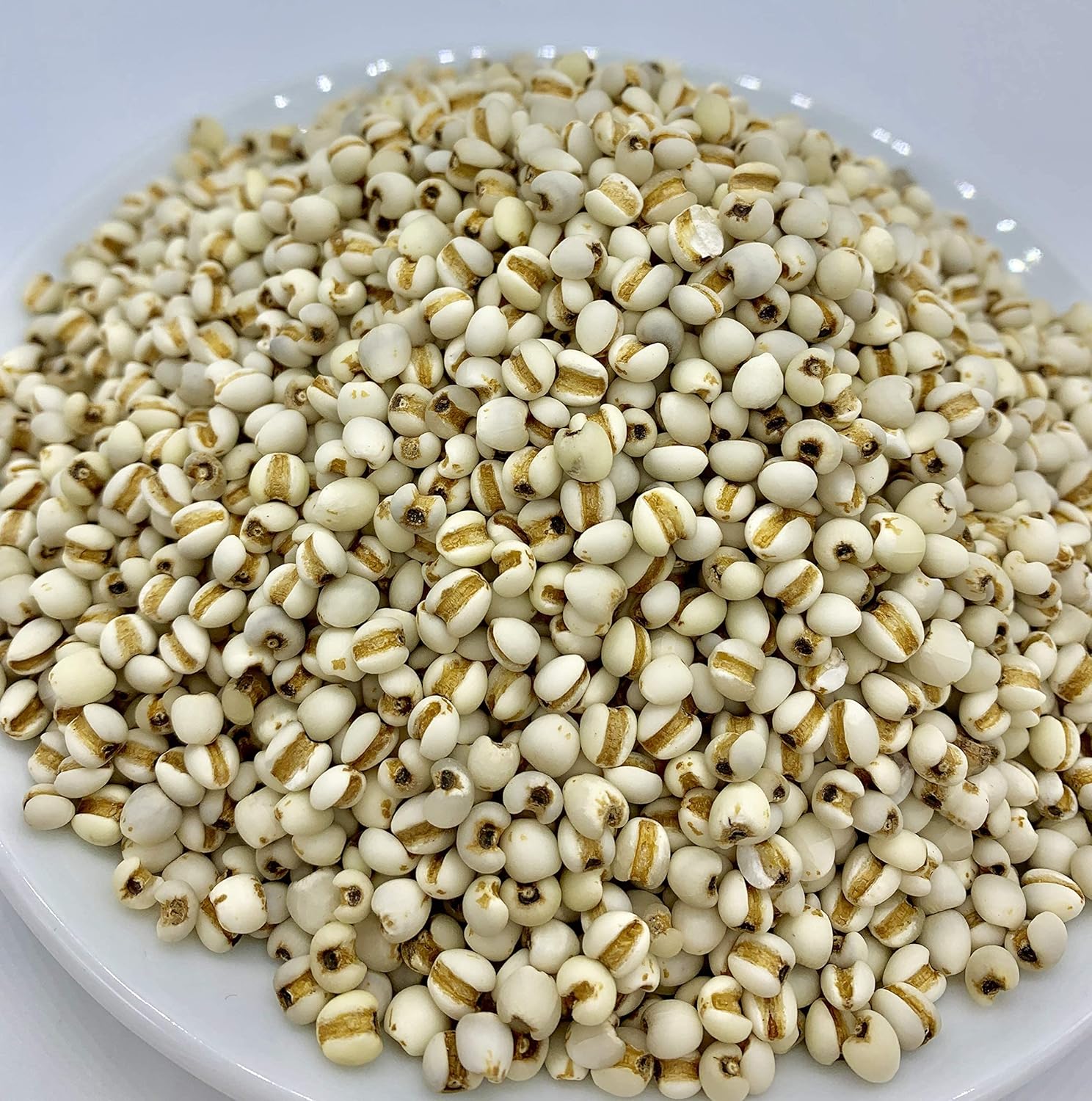 Pure Adlay (Adlai) Rice | High-Fiber, Low-Glycemic Grain for Healthy Meals | Great Substitute 250g / 500g / 1kg