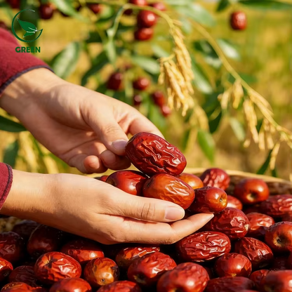 Red Jujube 500g – Premium Chinese Red Dates | Naturally Sweet Dried Fruit for Tea, Soup & Snacks