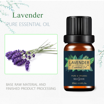 Lavender Essential Oil - 10ml