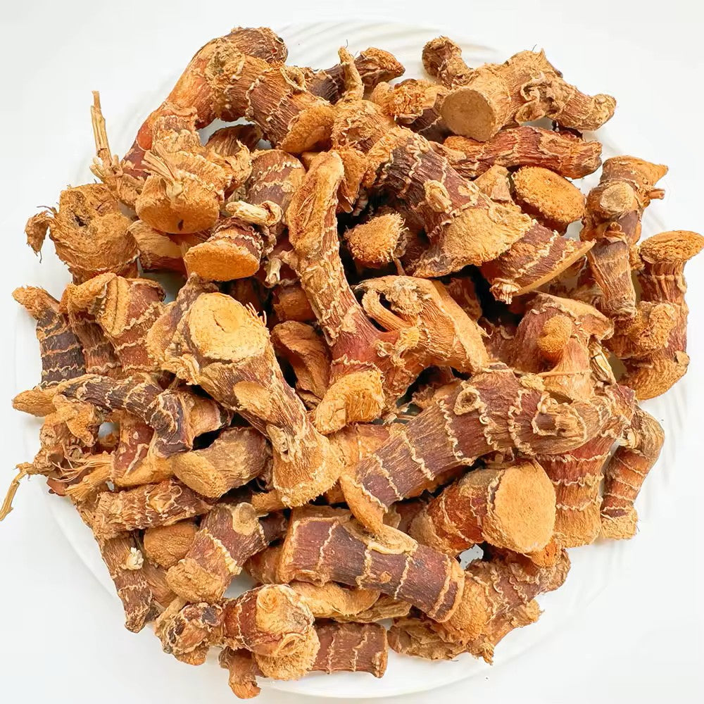 Dried Galangal Root | Premium Aromatic Galangal Root | Perfect for Thai, Asian Cooking & Herbal Tea
