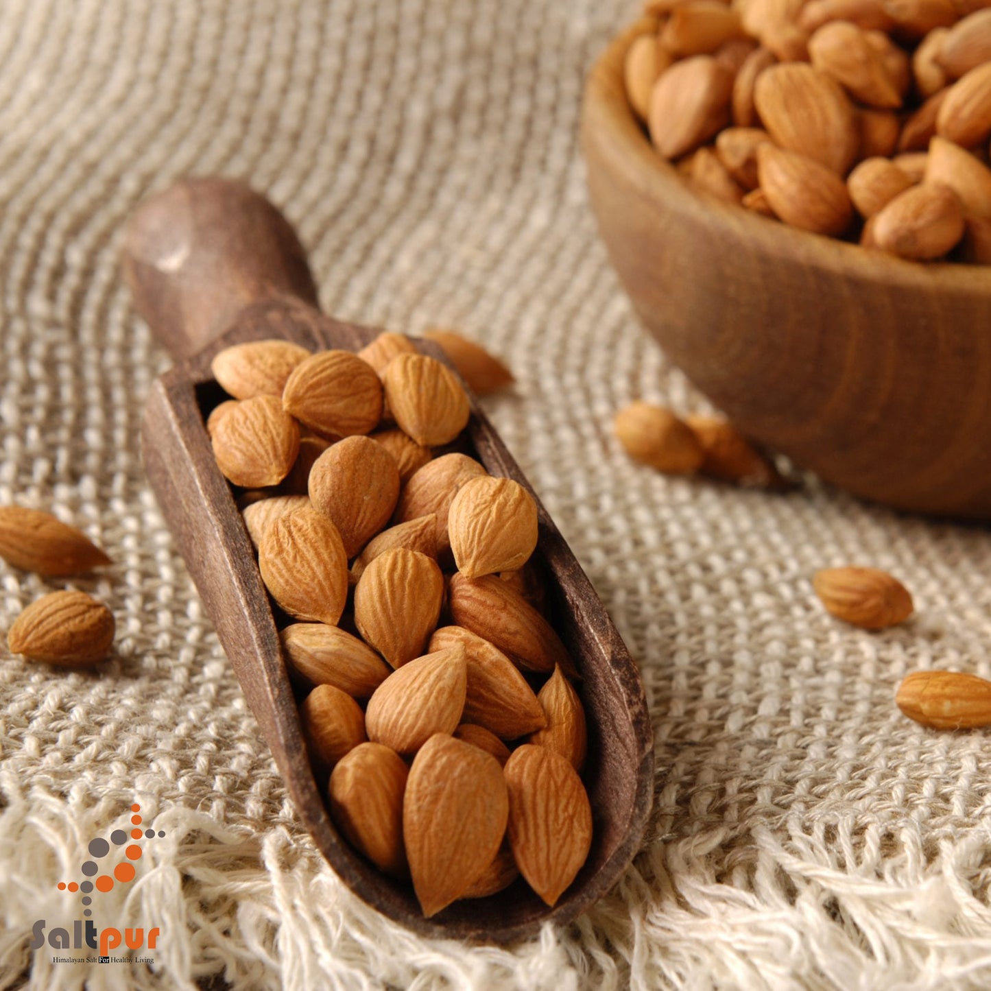 Apricot Kernels/Seeds from Turkey (Bitter)